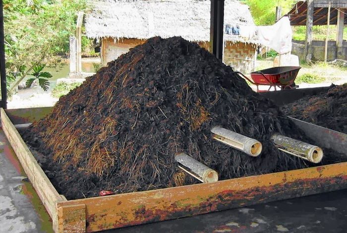 KOMPOS KOTORAN AYAM ALAMI