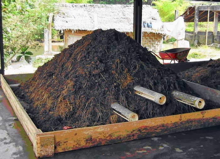 KOMPOS KOTORAN AYAM ALAMI