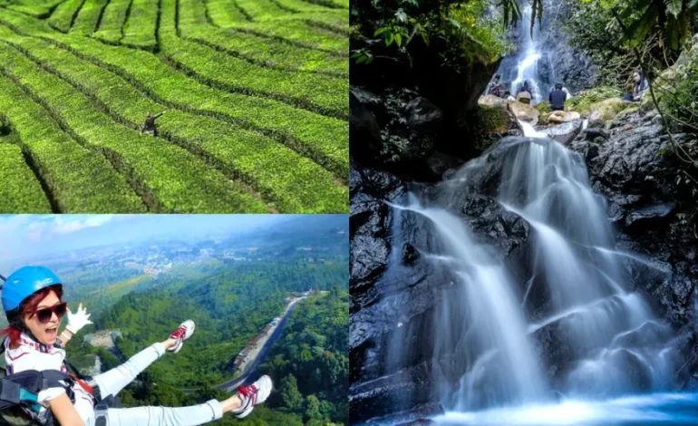 5 Wisata Alam Hijau di Puncak Bogor untuk Liburan Akhir Tahun