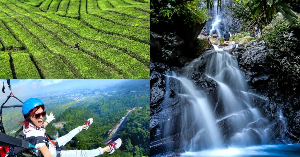 5 Wisata Alam Hijau di Puncak Bogor untuk Liburan Akhir Tahun